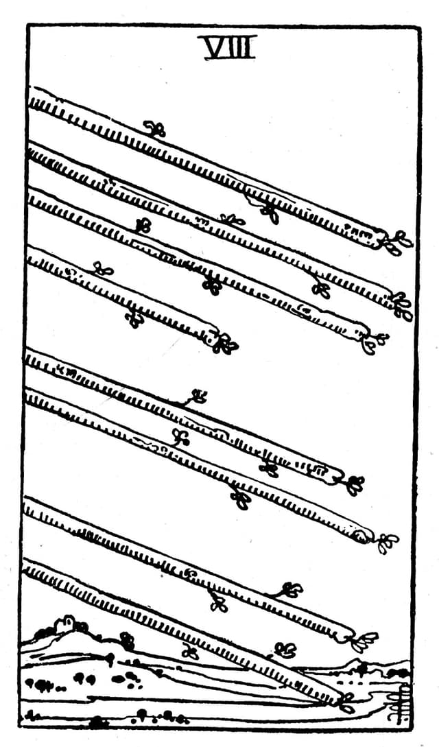 Rider Waite Deck - Eight of Wands